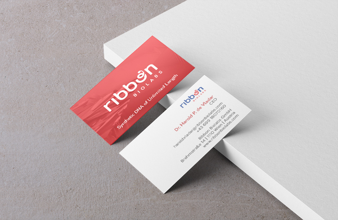 Business Card Mockup Vol.2 By Anthony Boyd Graphics